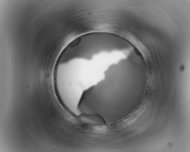 X0000103261291200809191710