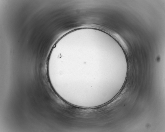 X0000103261292200809191710