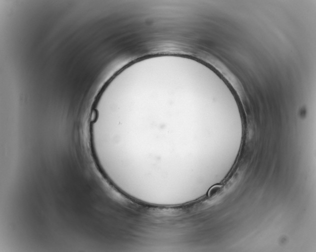 X0000103261293200809191710