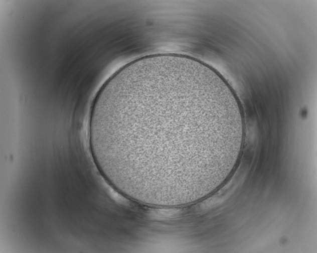 X0000103261294200809191710