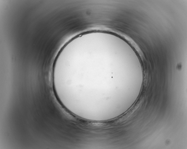 X0000103261295200809191710