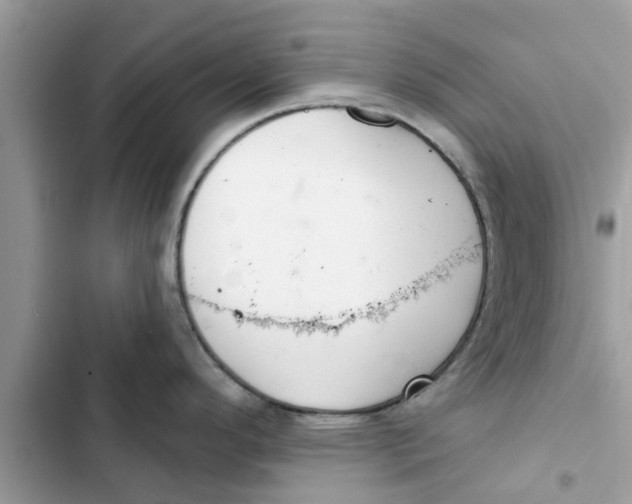 X0000103261296200809191710