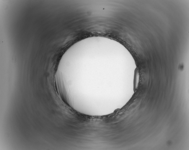 X0000103261297200809191709