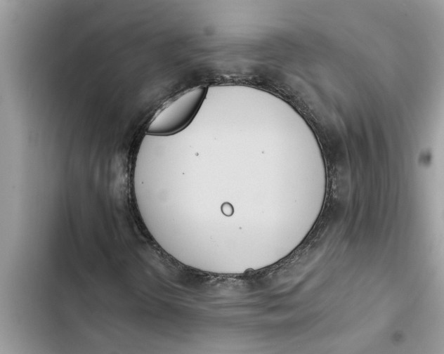 X0000103261298200809191709