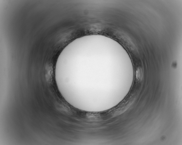 X0000103261299200809191709