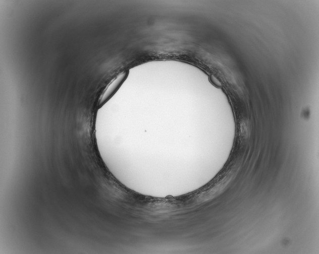 X0000103261300200809191709