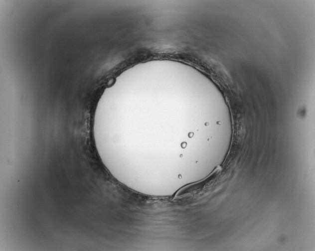 X0000103261301200809191709