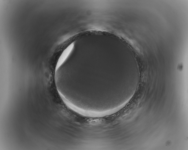 X0000103261303200809191709