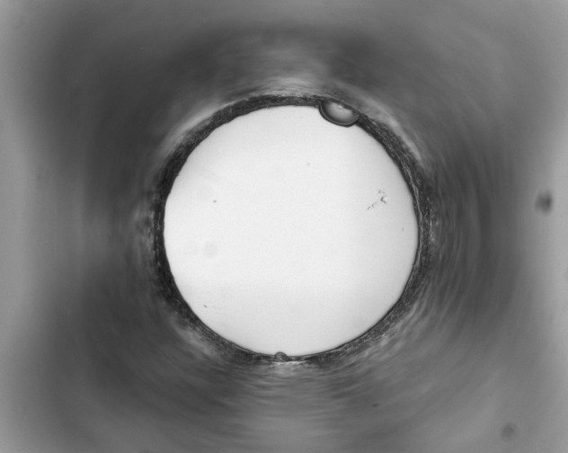 X0000103261304200809191709