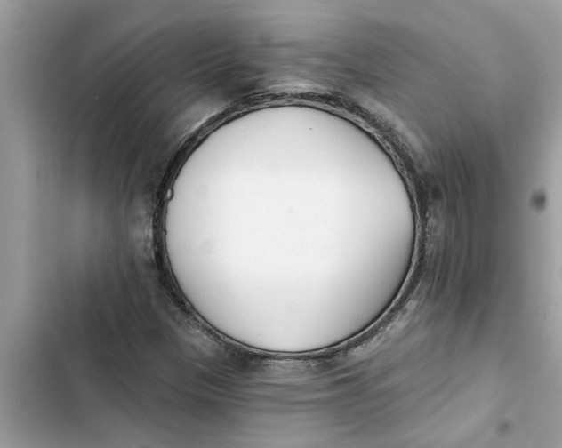 X0000103261305200809191709