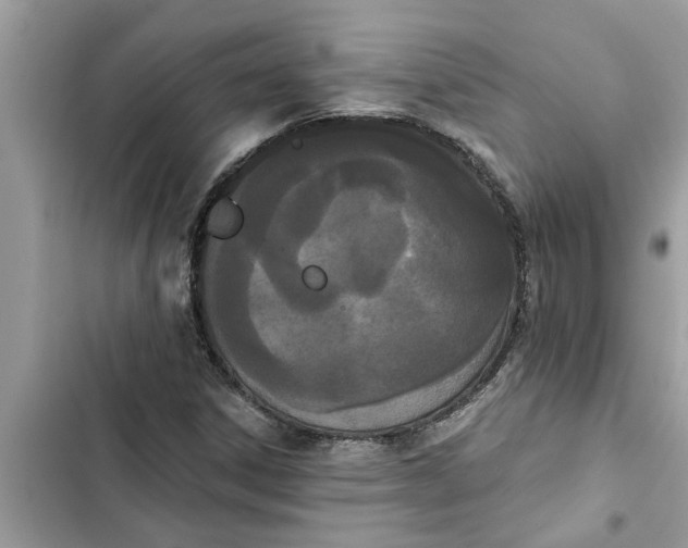 X0000103261306200809191709