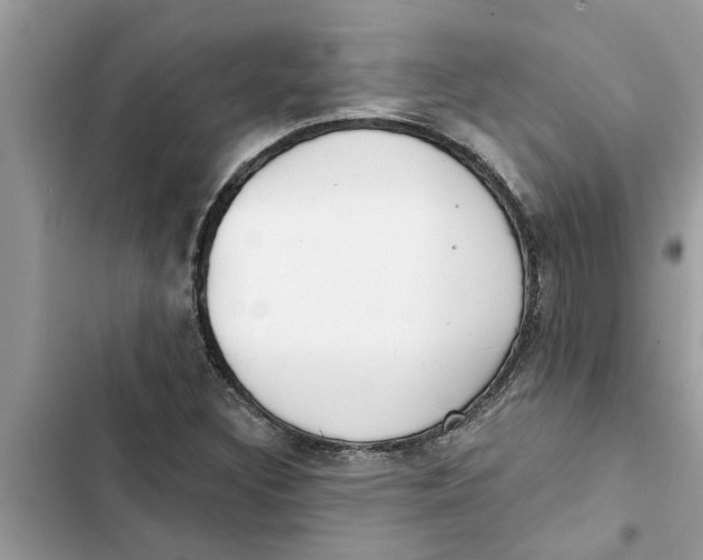 X0000103261308200809191709