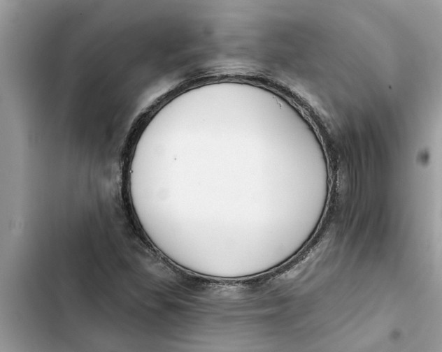 X0000103261309200809191709