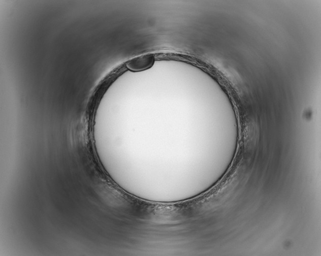 X0000103261310200809191709