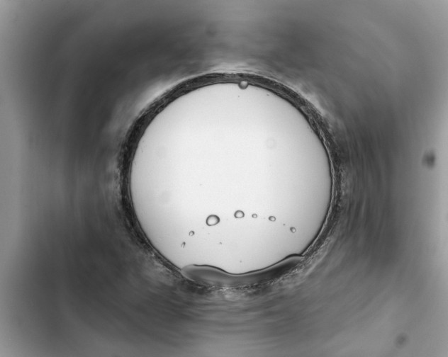 X0000103261311200809191709