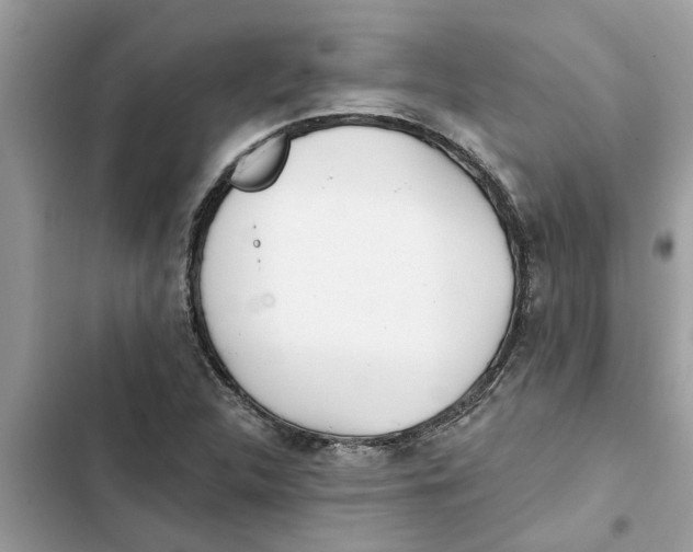 X0000103261312200809191709