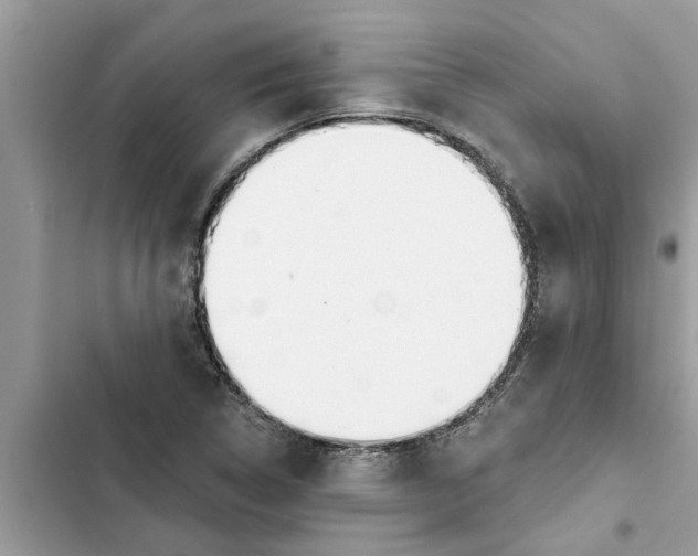 X0000103261314200809191709