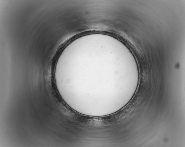 X0000103261315200809191709