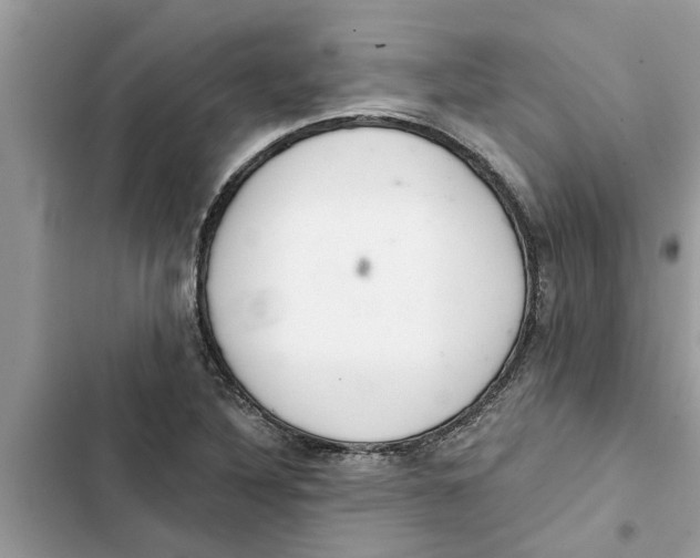 X0000103261316200809191709