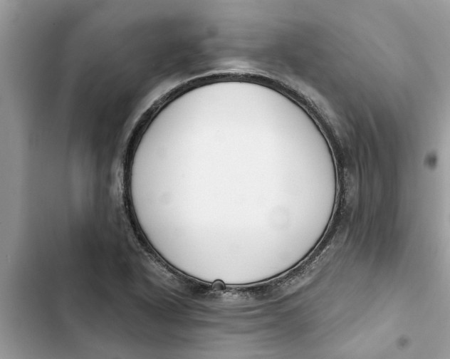 X0000103261318200809191709