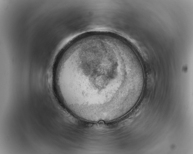 X0000103261319200809191709