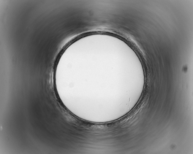 X0000103261320200809191709