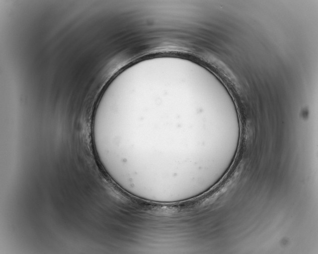 X0000103261321200809191709