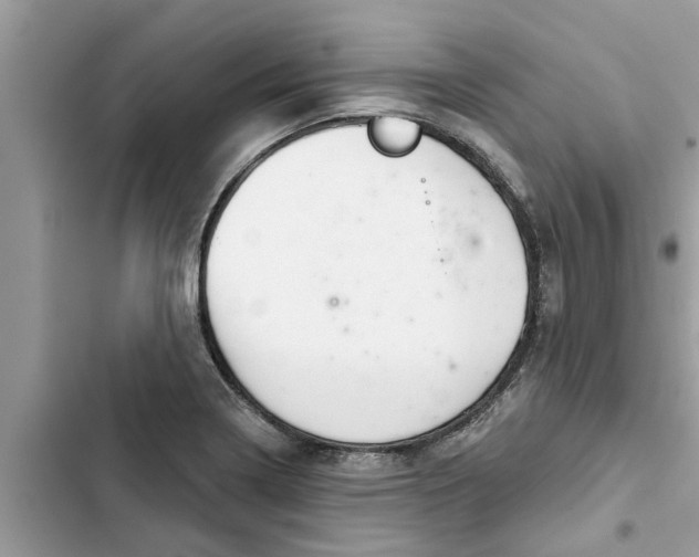 X0000103261322200809191709