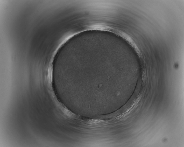 X0000103261323200809191709