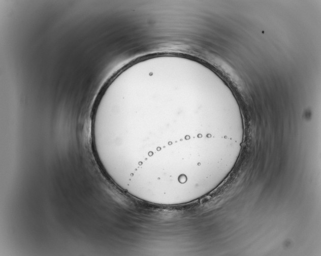 X0000103261324200809191709