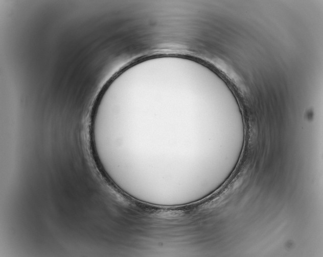 X0000103261325200809191709