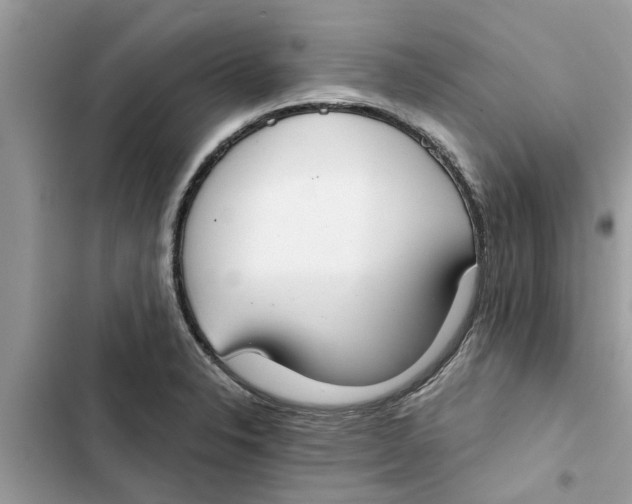 X0000103261326200809191709