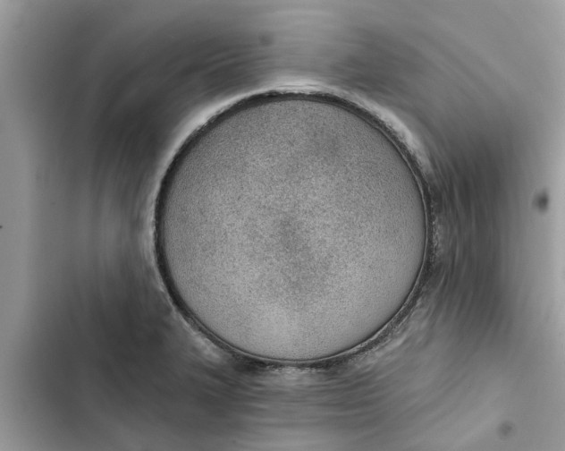 X0000103261327200809191709