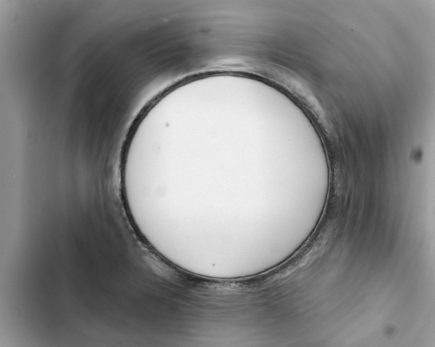 X0000103261328200809191709