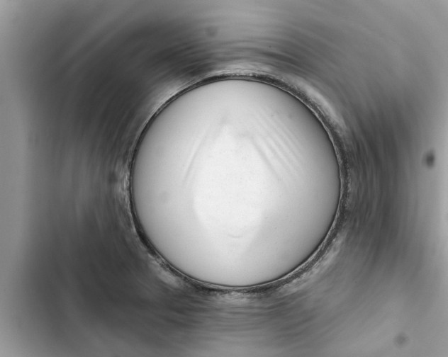 X0000103261329200809191709