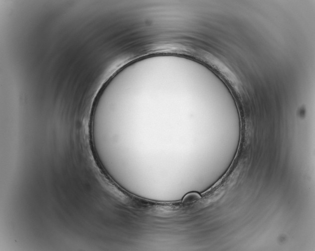 X0000103261330200809191709