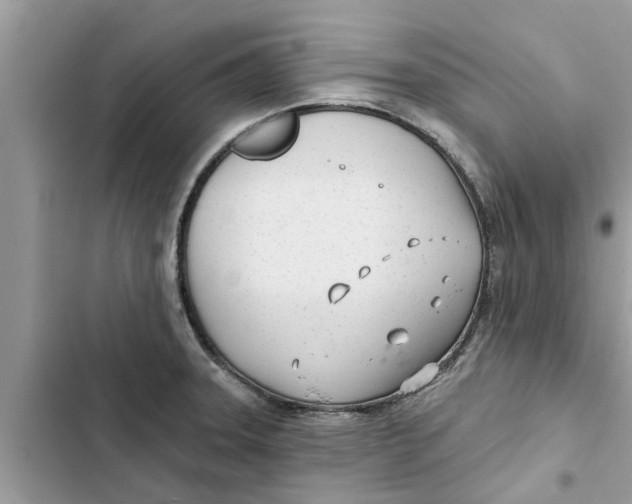 X0000103261331200809191709