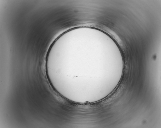 X0000103261332200809191709