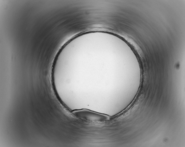 X0000103261333200809191709