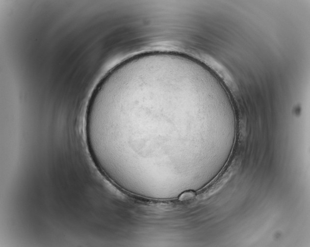 X0000103261334200809191709