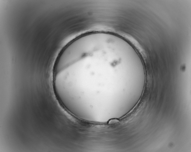 X0000103261335200809191709