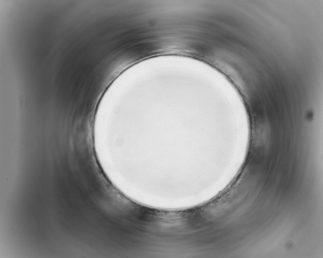 X0000103261338200809191709