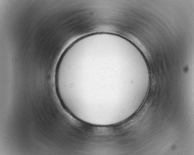 X0000103261339200809191709