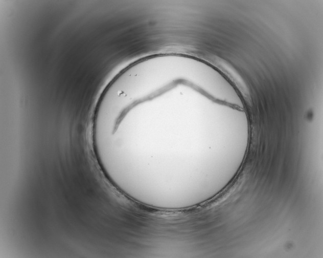 X0000103261340200809191709