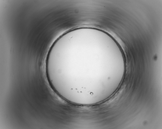 X0000103261341200809191709