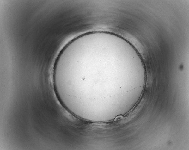 X0000103261342200809191710