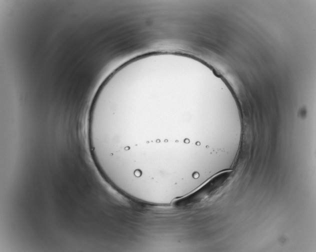 X0000103261343200809191710