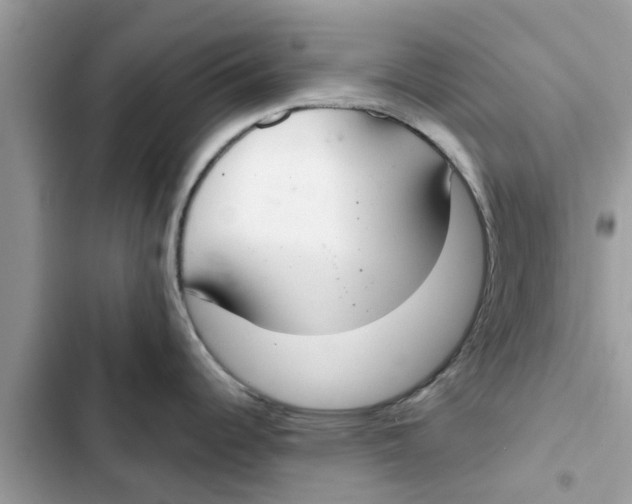 X0000103261344200809191710