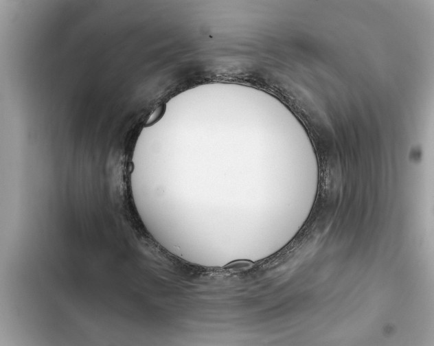 X0000103261346200809191709