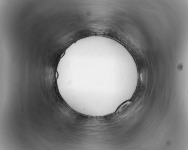 X0000103261347200809191709